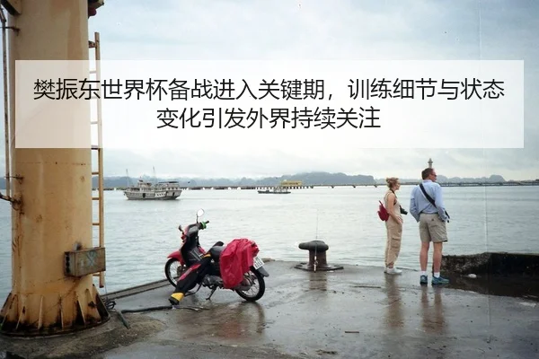 樊振东世界杯备战进入关键期，训练细节与状态变化引发外界持续关注